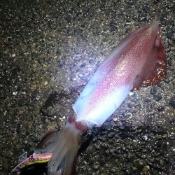 雨やけど・・・行くの!?