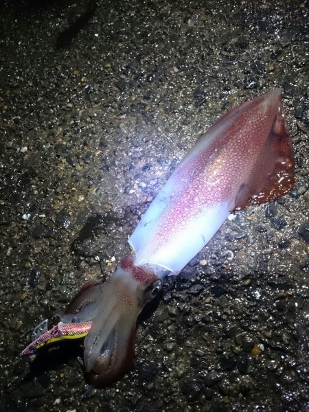 雨やけど・・・行くの!?