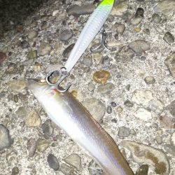 キスGET！！(笑)