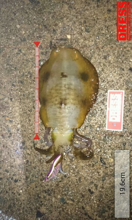 まさか!?この時期に…