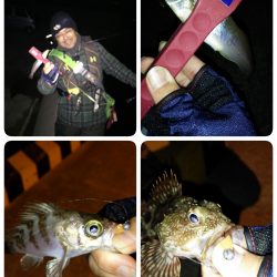 爆風アジング修行