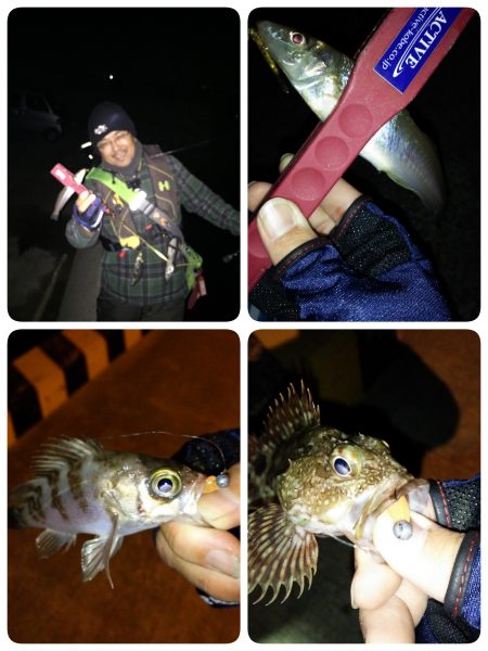 爆風アジング修行