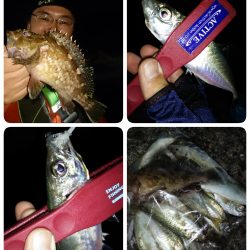 ライズ直後からアジ祭り♪