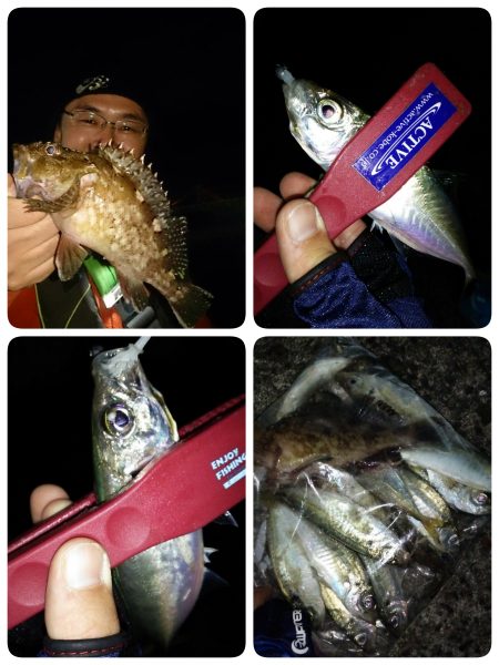 ライズ直後からアジ祭り♪