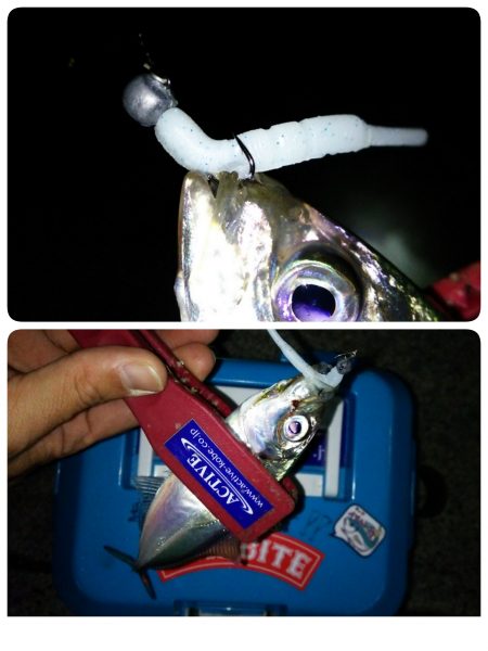 淡路島でちょこっとアジング♪