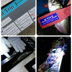 メーカーさん主催のアジング大会に参加しました。