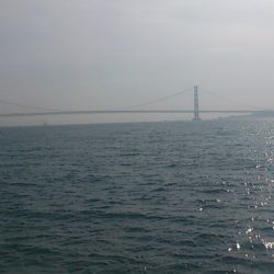 約束された釣果 ロックフィッシュ