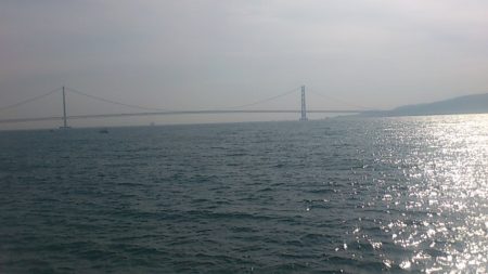 約束された釣果 ロックフィッシュ