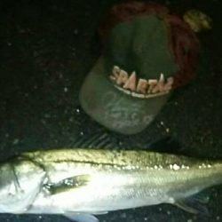 雨の中、、かっぱ着て