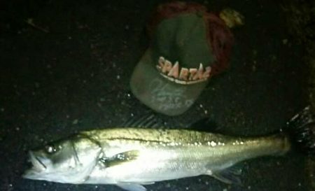 雨の中、、かっぱ着て