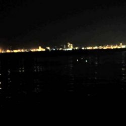 南芦屋浜 タチウオリベンジ戦