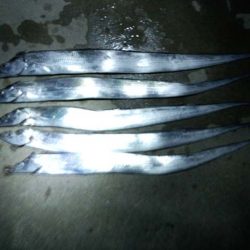 マリーナシティで刀狩り、アタリ多く楽しめます