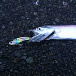 西宮ケーソン早朝タチウオ