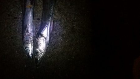 残りもあと僅か