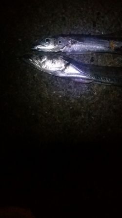 残りもあと僅か