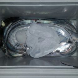 そろそろシーズン終盤？