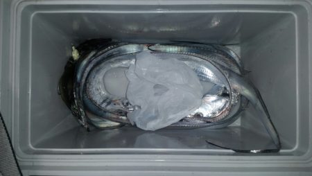 そろそろシーズン終盤？