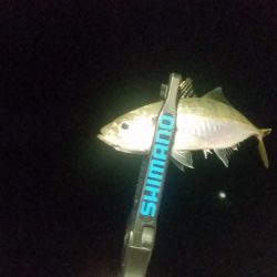 ランガンアジング