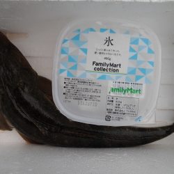 リベンジマゴチ！