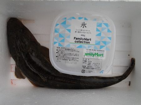 リベンジマゴチ！