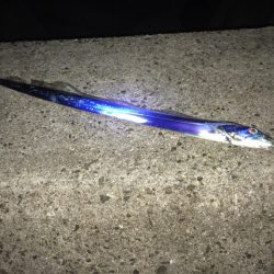 寒かった！(笑)