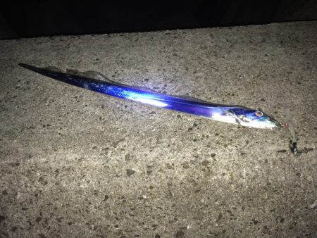 寒かった！(笑)