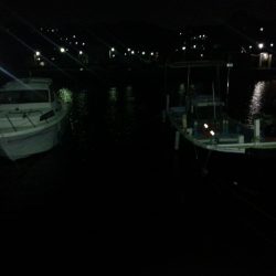 アジングデビュー