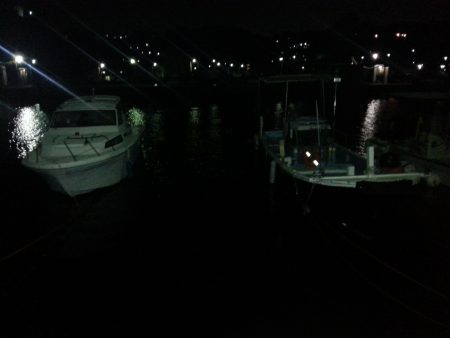 アジングデビュー