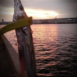 メタルジグでタチウオ