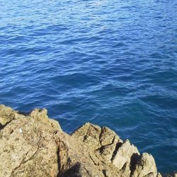 爆釣・・イサキ・・・