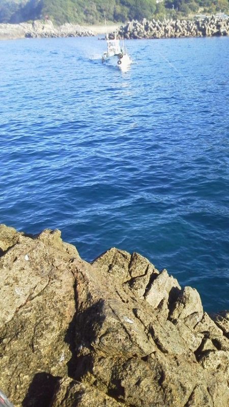 爆釣・・イサキ・・・