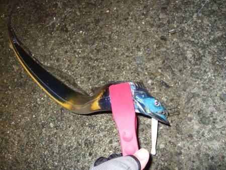 今日は渋かった・・・。