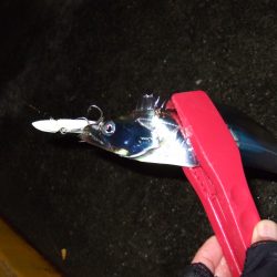 濡れたかいがありました