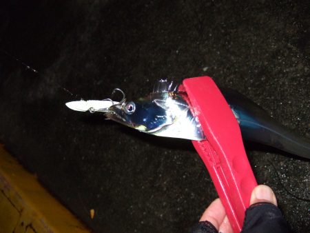 濡れたかいがありました