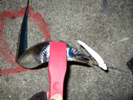 ボウズかと思った