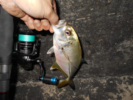 メタルバイブでメッキとタチウオをゲット