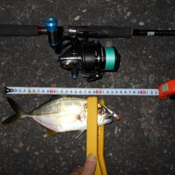 ちょこっとだけメッキ＆タチウオゲーム