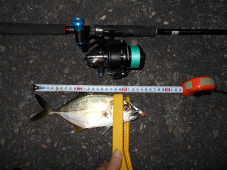 ちょこっとだけメッキ＆タチウオゲーム