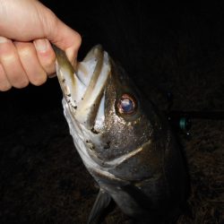 渋い状況の中でのヒット。