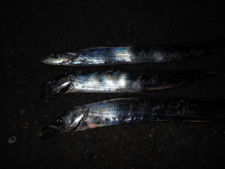 フォール中に反応有り。