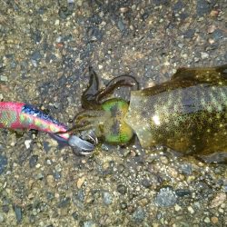 今年はもう終りかな～