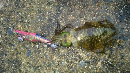 今年はもう終りかな～