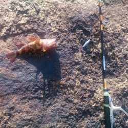 １ヶ月半ぶりの伊根