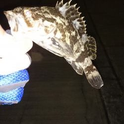 久しぶりの根魚釣り！