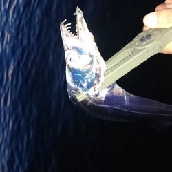 短時間ワインド