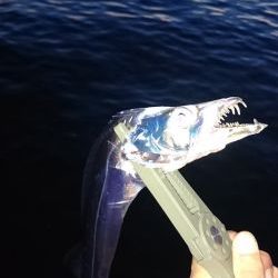 短時間ワインド