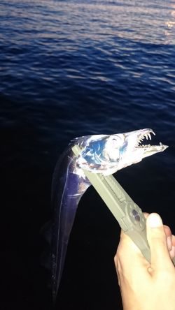 短時間ワインド