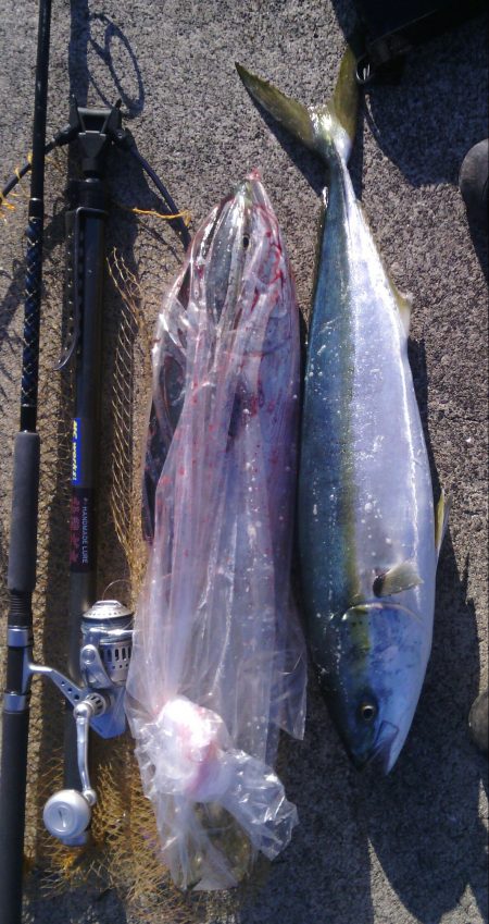 トップでメジロ