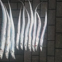 ドラゴンハンティング2