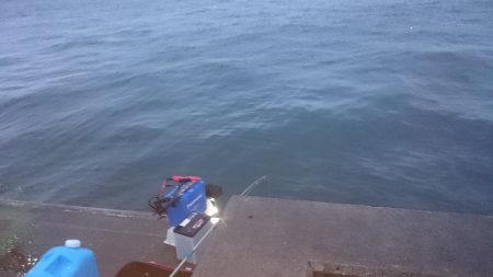 サビキ釣り、投光器点けて頑張るも。